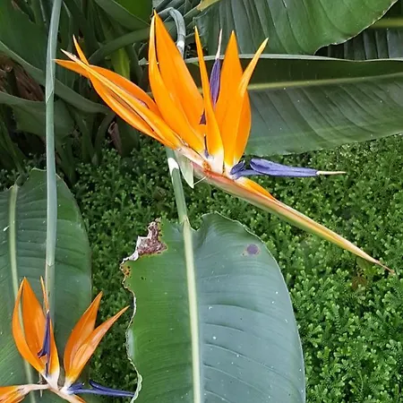 Mirage Appartamento Ostenda