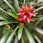 Appartamento Mirage *