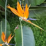 Mirage Appartamento Ostenda